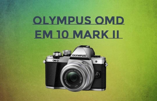 olympus-omd-10-mark-2-1546870895.jpg